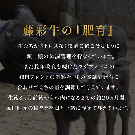 ふじ馬刺し ネギトロ＋藤彩牛 モモ すき焼き 200g