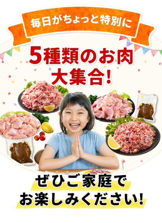 総重量1,520g! お肉5種 バラエティセット 肉 豚肉 鶏肉 ハンバーグ 5種 福袋 切り落とし 豚ミンチ 国産 豚 ミンチ うまかチキン モモ肉 むね肉【1-5営業日以内に発送予定（土日祝除く）】