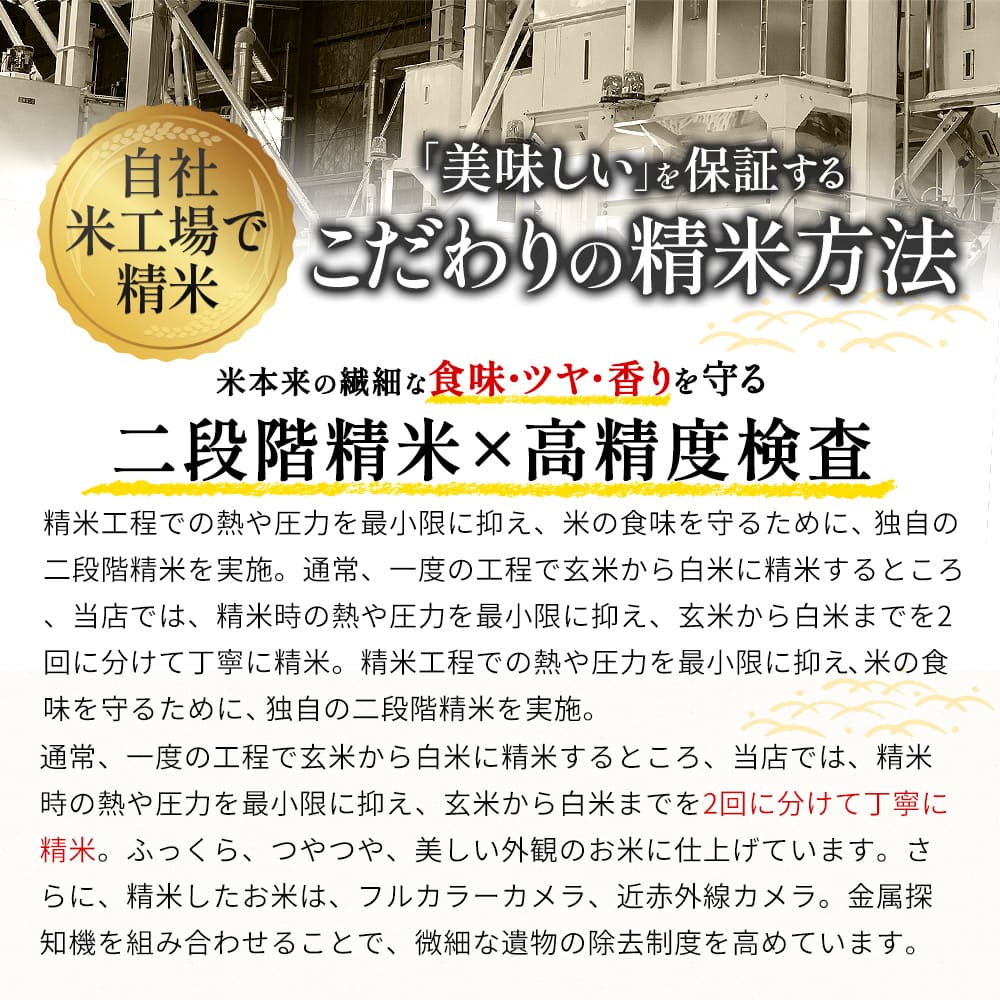 熊本県産 森のくまさん 白米 10kg ( 5kg×2袋 ) 令和8年産 10月下旬から11月上旬頃に発送予定