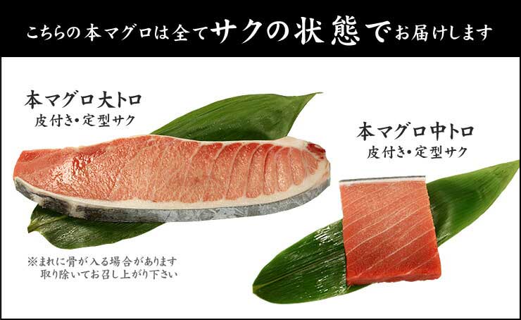 極上本マグロ 大トロ 中トロ セット 700g 6～8人前 解凍レシピ付 [大中セット-2p]