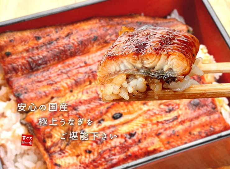 訳あり 国産 うなぎ長蒲焼き (160g～170g)×1尾 タレ・山椒つき [ウナギ長蒲焼き-1p]