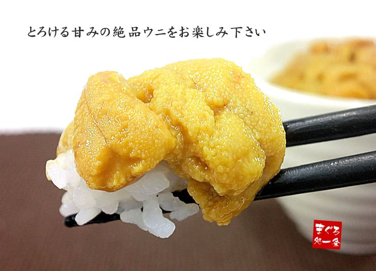 無添加 お刺身 ウニ 1kg(100g×10個) [生ウニ100-10p]