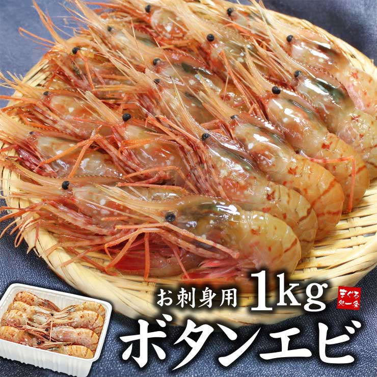 お刺身用 ボタンエビ 1kg 20～32尾 [ぼたんエビ500g-2p]