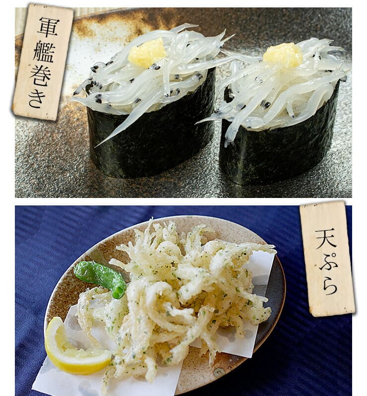 茨城県産 白魚 しらうお 200g お刺身用 [白魚200g]