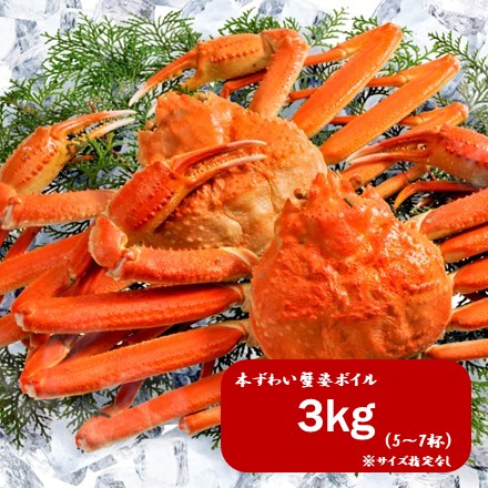 本ずわい蟹姿ボイル　3kg