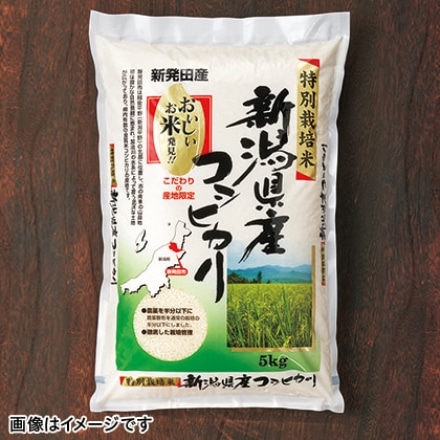 特別栽培米 新潟県産 コシヒカリ 5kg 令和3年産
