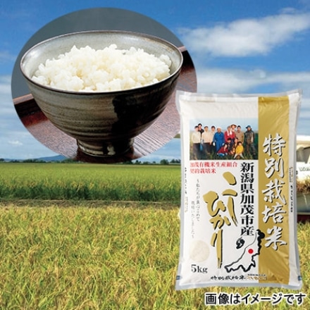 新潟県産 特別栽培米 コシヒカリ 白米 5kg 令和3年産