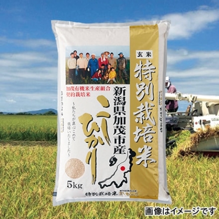 新潟県産 特別栽培米 コシヒカリ 玄米 5kg 令和3年産