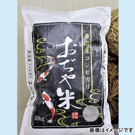 新潟県 魚沼産 コシヒカリ 10kg 令和4年産