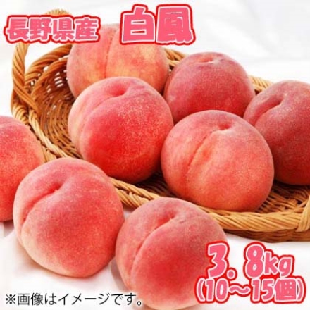 【こちらの商品は7月27日～8月10日の間にお届けします】 長野県産白鳳糖度１２度以上 ３．８ｋｇ（１０個～１５個）
