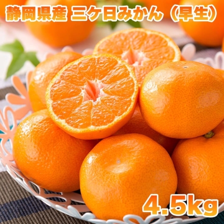 三ヶ日みかん（早生）4.5ｋｇ 送料込み