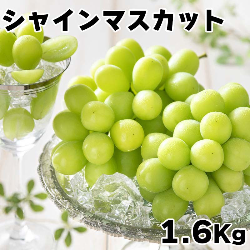 シャインマスカット3房（1.6ｋｇ）