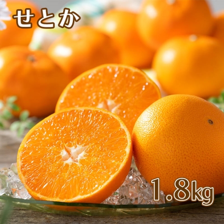 せとか 1.8kg