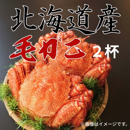 北海道産毛ガニ700ｇ（2杯）
