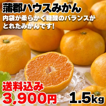 蒲郡ハウスみかん 1.5ｋｇ（Ｍ：15個）