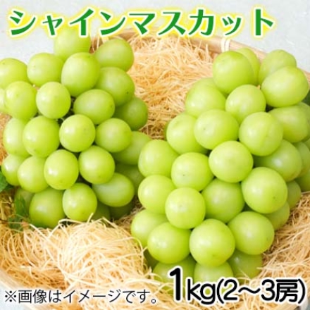シャインマスカット 1ｋｇ