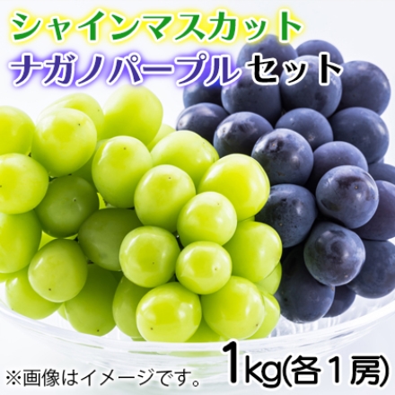 シャインマスカット・ナガノパープルセット 1ｋｇ（各1房）