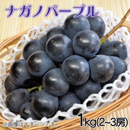 ナガノパープル1ｋｇ