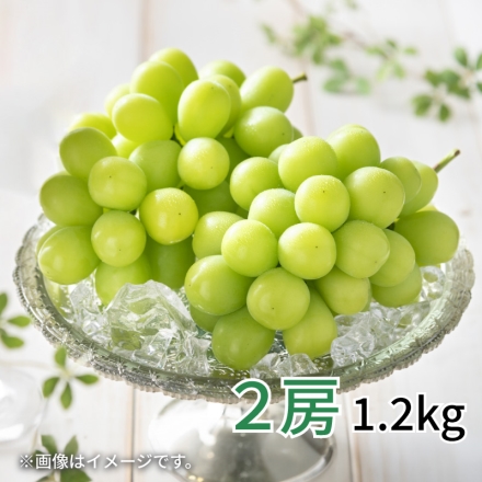 シャインマスカット2房（1.2ｋｇ）