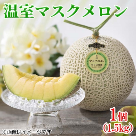 温室マスクメロン1個 送料込み