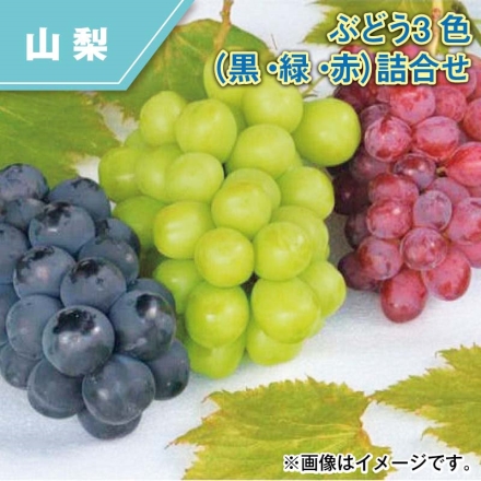 ぶどう3色（黒・緑・赤）詰合せ