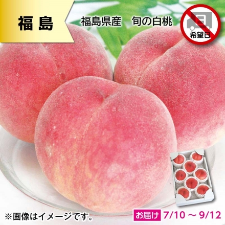 福島県産 旬の白桃 1.6kg（秀：5～10個）