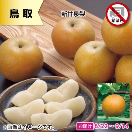 新甘泉梨 3kg ( 8～12個 )