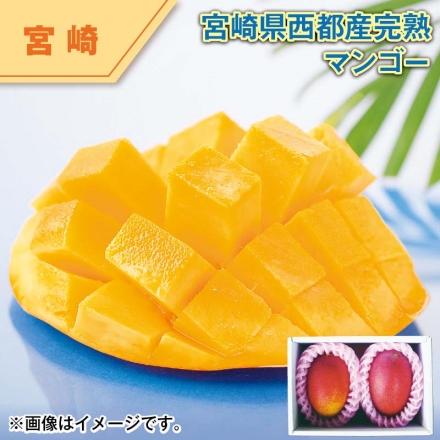 宮崎県 西都産 完熟マンゴー 700g（2～3個）