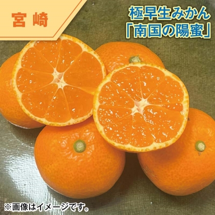 極早生みかん 南国の陽蜜（糖度10.5度以上） 4.5kg