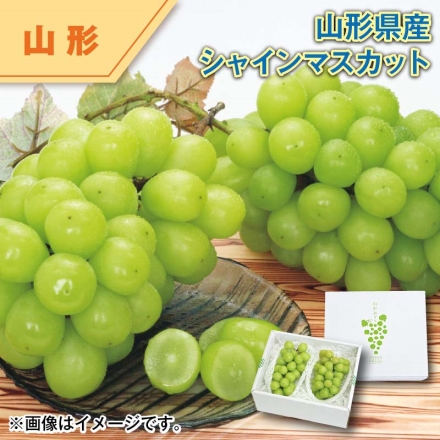 山形県産 シャインマスカット 1kg（2房）