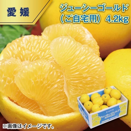 ジューシーゴールド（ご自宅用）4.2ｋｇ