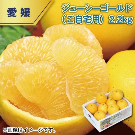 ジューシーゴールド（ご自宅用）2.2ｋｇ