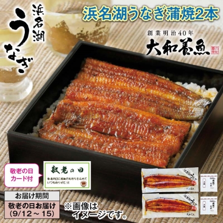 浜名湖うなぎ蒲焼2本