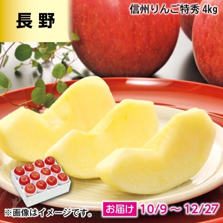 信州りんご 特秀 4ｋｇ