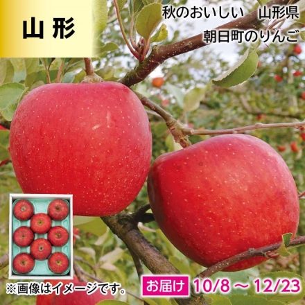 山形県朝日町のりんご 2kg