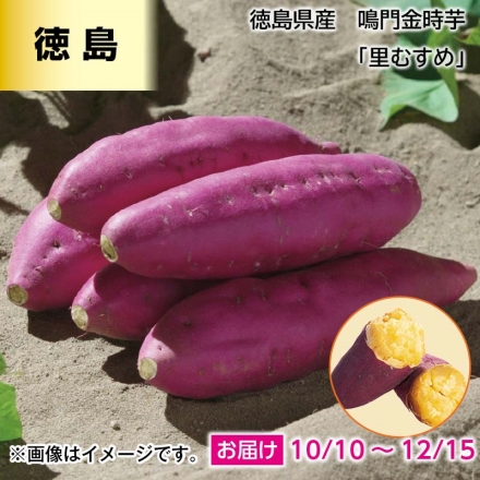 徳島県産 鳴門金時芋「 里むすめ 」 2kg