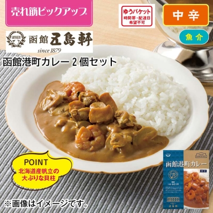 函館港町カレー2食