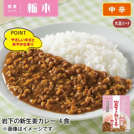 岩下の新生姜カレー4食