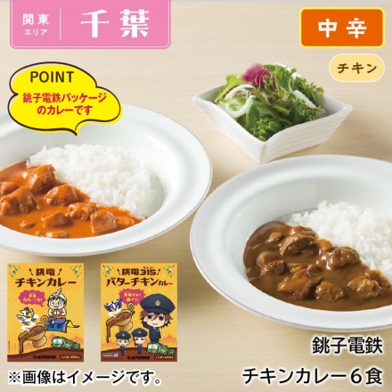 銚子電鉄チキンカレー2種6食