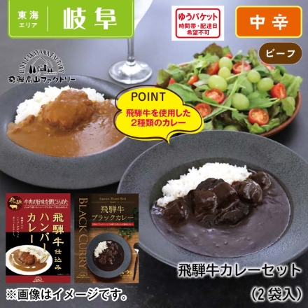 飛騨牛カレーセット2種2食