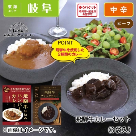 飛騨牛カレーセット2種3食