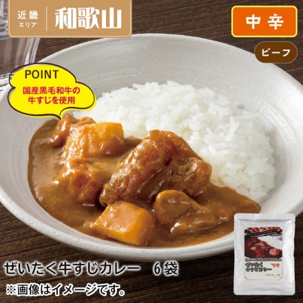 ぜいたく牛すじカレー6食