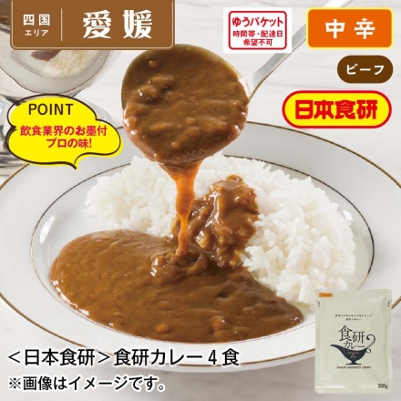 ＜日本食研＞食研カレー4食