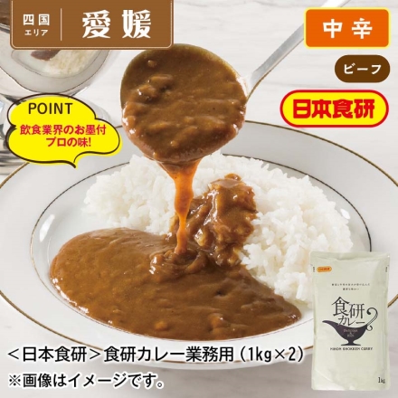 ＜日本食研＞食研カレー業務用1ｋｇ×2