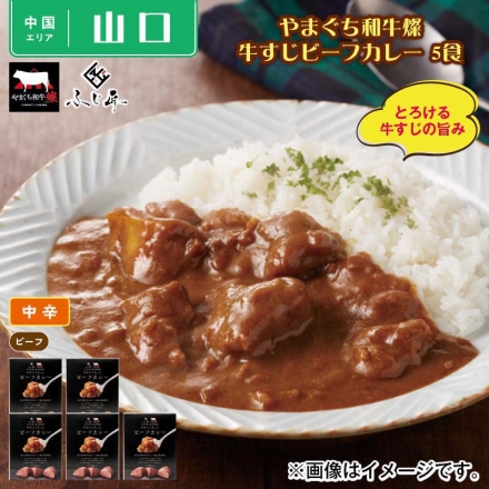 やまぐち和牛燦 牛すじビーフカレー 5食