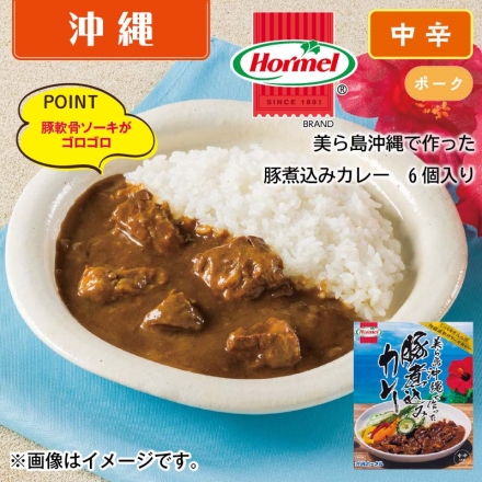 美ら島沖縄で作った豚煮込みカレー6食