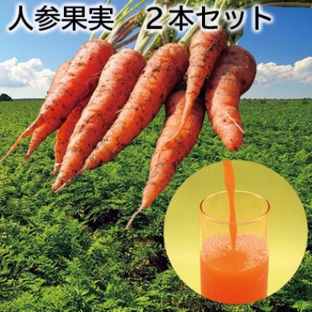 人参果実 2本セット