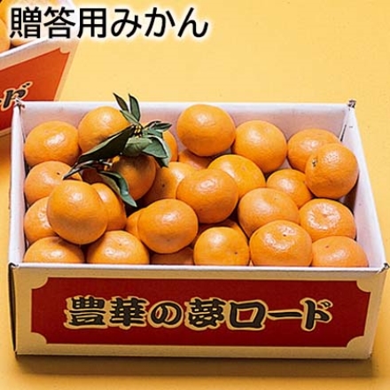贈答用みかん 5kg(S～2L：30～60個)