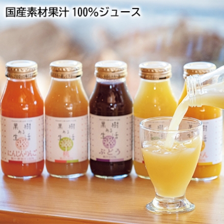 国産素材果汁100％ジュース 5種 各180ml×2本