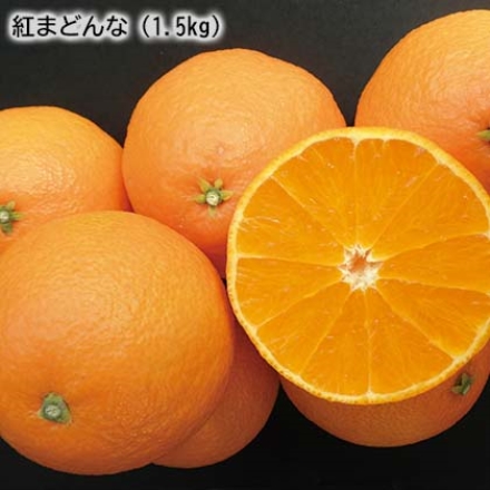 紅まどんな（1.5ｋｇ）